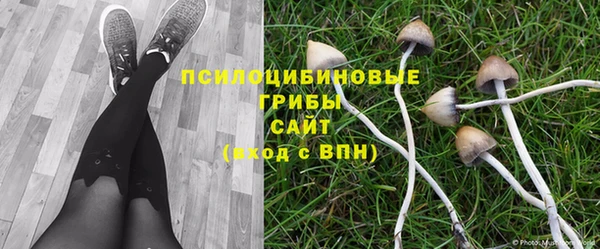 jwh Абинск