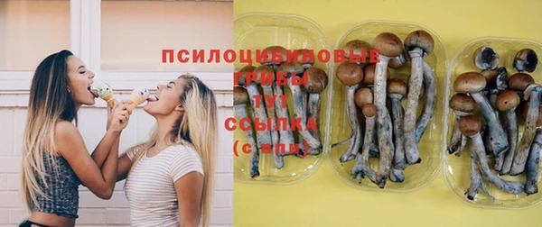 spice Абдулино